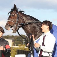 とこえもん (@tokoonnnnnnn) 's Twitter Profile