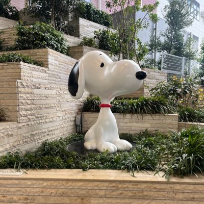 programukku's profile picture. 元家電メーカーエンジニア→専業主婦(3児の母)→Webアプリ開発勉強中💻