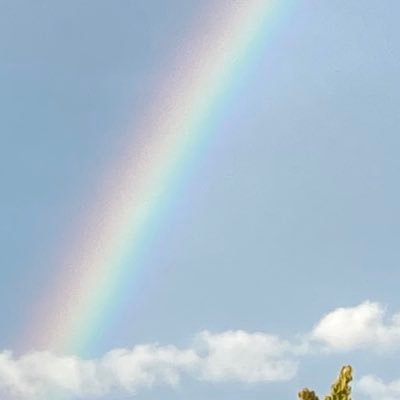 suzune770's profile picture. 聴いた曲、読んだ本