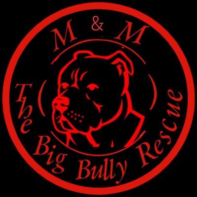 Passionate XL Bully advocate. Founder of The Big Bully Rescue, supporting rehoming efforts and educating owners post-ban. #BullyLove #RescueAdvocate Emma x