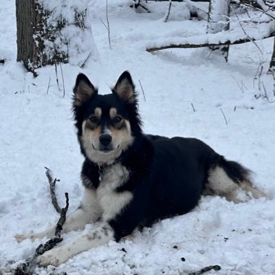 Jordan420y20245's profile picture. 