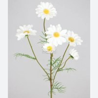 Kübra (@kubra_asm) 's Twitter Profile Photo