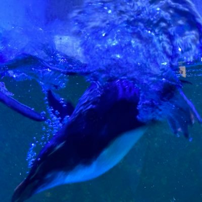あわ、さんのプロフィール画像