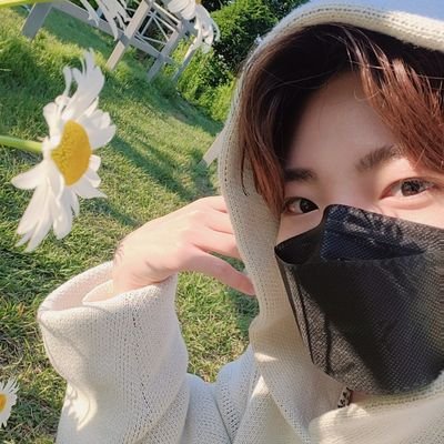 This user loves harukyu so much • ✧treasure10✧
