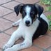 Rosa Peli (@rosapeli318226) Twitter profile photo Rosa Peli (@rosapeli318226) Twitter profile photo