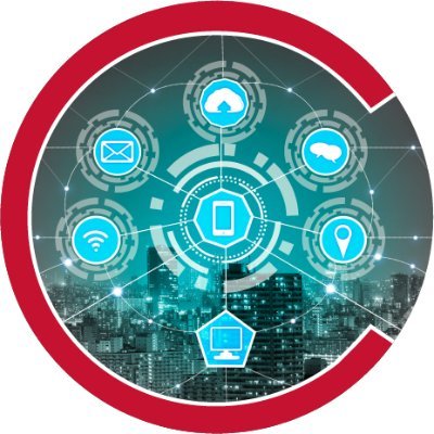 Cornell Systems Engineering Profile