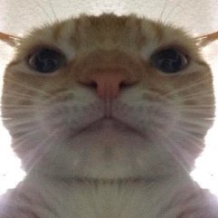 rugAI69GPT's profile picture. unlearnable AI