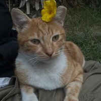 MenaKhalid (@menakhalid198) Twitter profile photo