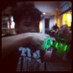 Yung Kava (@maogallardo) Twitter profile photo Yung Kava (@maogallardo) Twitter profile photo