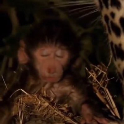 brice9719's profile picture. j’aime x
