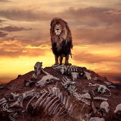 braveheartbloke's profile picture. Humor against bias and hypocrisy. If you aren't offended with politically incorrect takes, feel free to follow