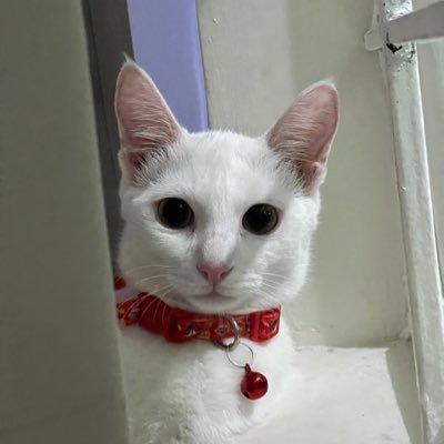 Telme_yy's profile picture. What's worth it never comes easy.