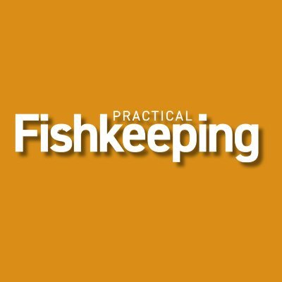 The world's leading fishkeeping and aquatics magazine for over 60 years - created by fishkeeping experts for all levels of fish hobbyist! 🐠