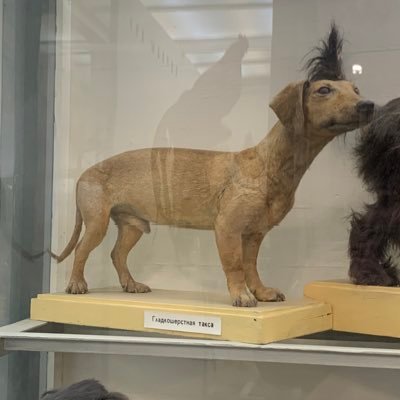 bigBober230's profile picture. 