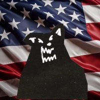 a lone wolf american(@A1LWOLF) 's Twitter Profile Photo