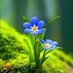 0o0Naturelover0o0 (@naturelover0o0) Twitter profile photo 0o0Naturelover0o0 (@naturelover0o0) Twitter profile photo