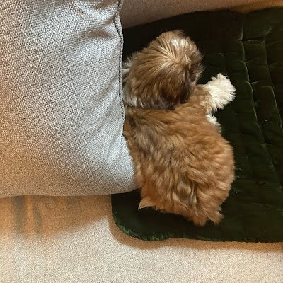 AndrewWeed1717's profile picture. 