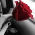 سُعاد القوزيّ (@soad_alqoyzi_) Twitter profile photo سُعاد القوزيّ (@soad_alqoyzi_) Twitter profile photo