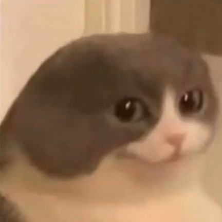 JuiceAkira's profile picture. piadas ruins.