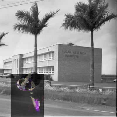 Allesnurgekauft's profile picture. Wer war August Kubizek? 
Ein Mann der in Jugend für den berüchtigsten Österreicher Brief&"Stalking"-Agenden in seiner Abwes. übernahm. Nein, S. R. War nicht 🕎!