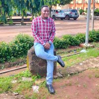 Toochukwu (@kingsylvans1) 's Twitter Profile Photo