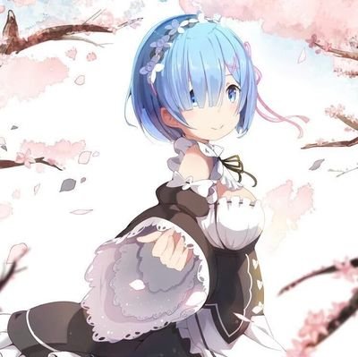 チョコスター(助手くん)さんのプロフィール画像