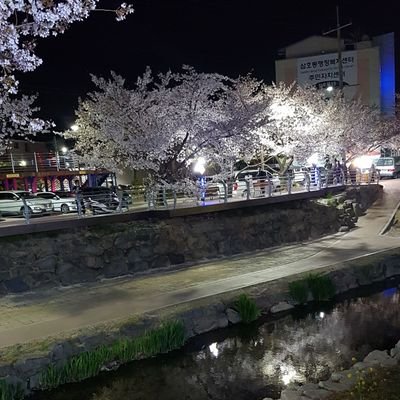 SaeedAhmed50427's profile picture. 