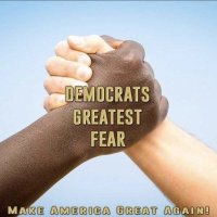 VOTE RED OR AMERICA IS DEAD ANTI-DEMOCRAT(@Snodtwitte) 's Twitter Profile Photo