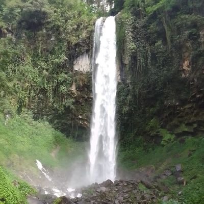 dwidahsyat's profile picture. 