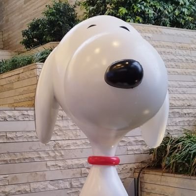 pee_dai_pee's profile picture. 