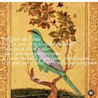 l'oiseau vert 6 (@osoukanye53649) 's Twitter Profile