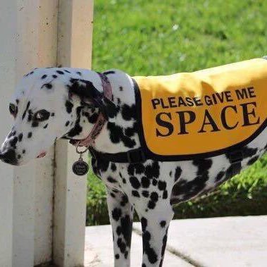 tordador's profile picture. lmsw ☆ i’m a male. im a he. 📢 opinions are not reflective of my employer. i’ve been rotting for 26 years