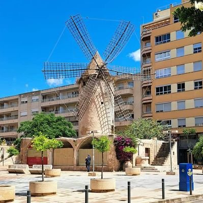 tariqazlan73's profile picture. Humble lady. Gamer/Unicorn. Waiting you at https://t.co/AO82Td7CAQ