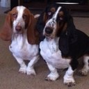 Coley Smith - @Jax_Coley - Twitter