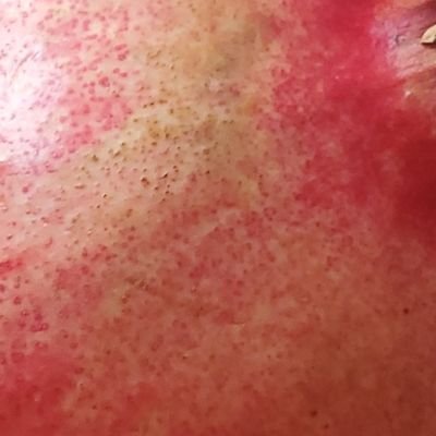 DonaldGothen's profile picture. sono qua solo per blablastare #Sanremo2024 e #fantasanremo