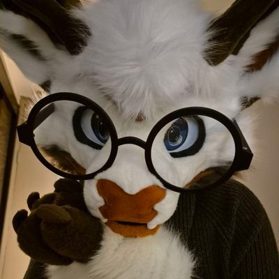 24 | He/They | Funny forest puppy | @SelkieSuits Suiter |  No thoughts head empty
