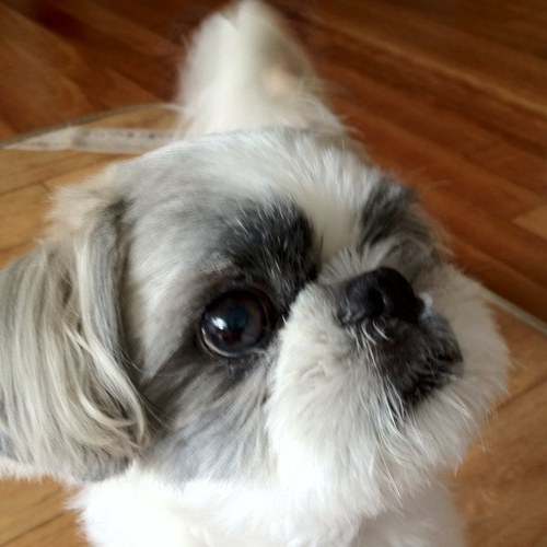 hac21c's profile picture. 정의와진실이 바로서고 영혼이 아름다운 사람들로 넘쳐나는 세상을 꿈꾸며....통합진보당/이정희/유시민/노회찬/심상정/나꼼수..........조중동 애독자는 접근금지 !!!!