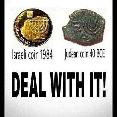 proud zionist 🇮🇱
NEVER AGAIN is NOW!