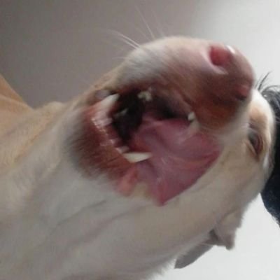 fernandomf091's profile picture. ...