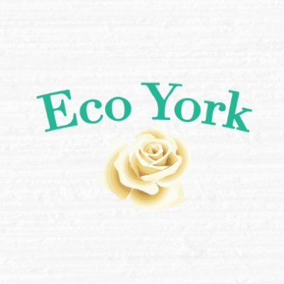 York PA Local Web Development and Software Development Company. Our Focus: Developing websites that save time and money.