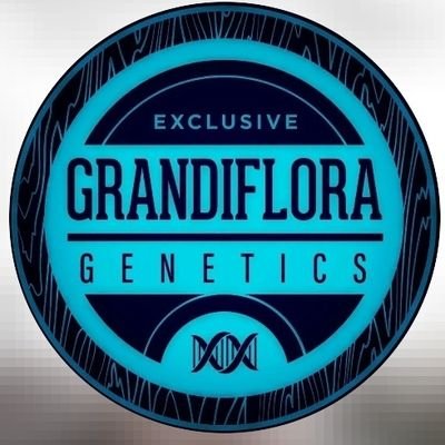 Grandiflora Genetics Oakland California
let the packs talk