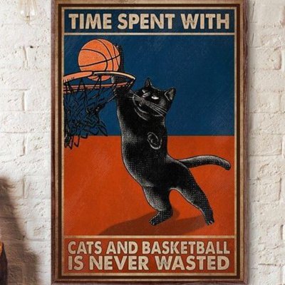 Basketball4cat