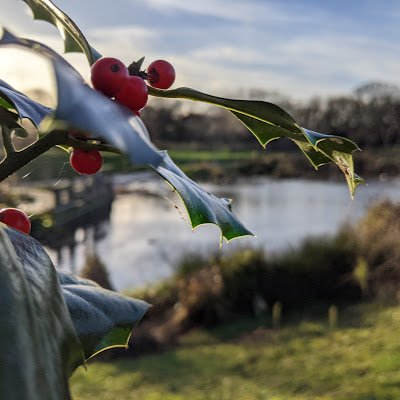 Nihoo6666's profile picture. $NCN