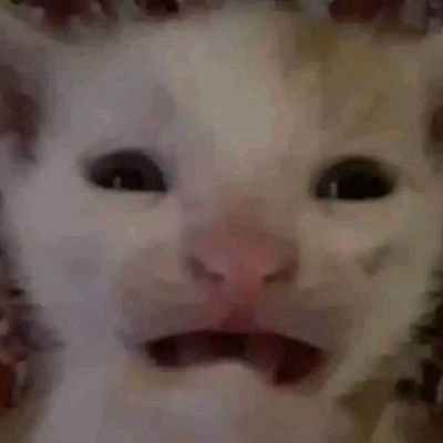 🪐🪐🪐
