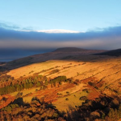 jempwatts1's profile picture. 