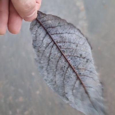ما نَعلَمُهُ قطرة...
ما لا نعلمهُ مُحيط...
مهتم بعلم الهيئة والنظر في ملكوت الله