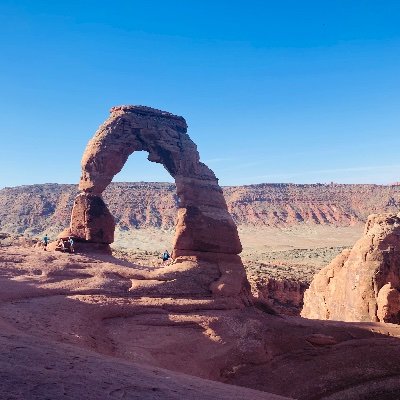 Speacock1201's profile picture. 