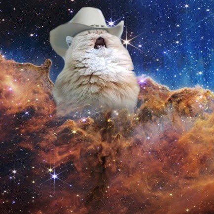 totalchempig's profile picture. Complete and utter Chempig. Down for anything and everything.