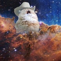 Chempig (@totalchempig) 's Twitter Profile