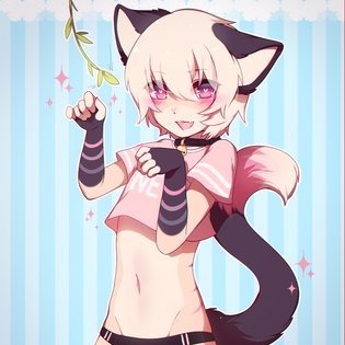 welcome all. This is a %100 nsfw rp account mostly play male nekos ranging from 1 at a time to a whole pack if you like group play
